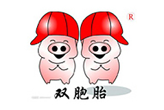 雙胞胎集團(tuán)